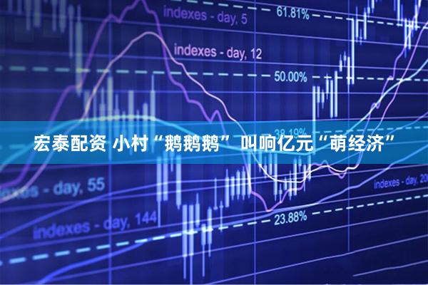 宏泰配资 小村“鹅鹅鹅” 叫响亿元“萌经济”