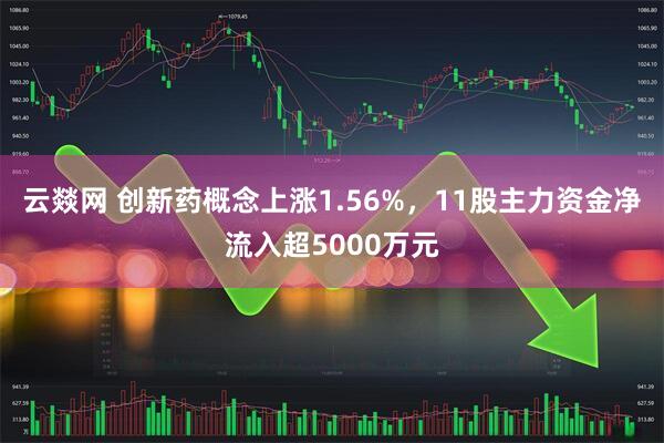云燚网 创新药概念上涨1.56%，11股主力资金净流入超5000万元
